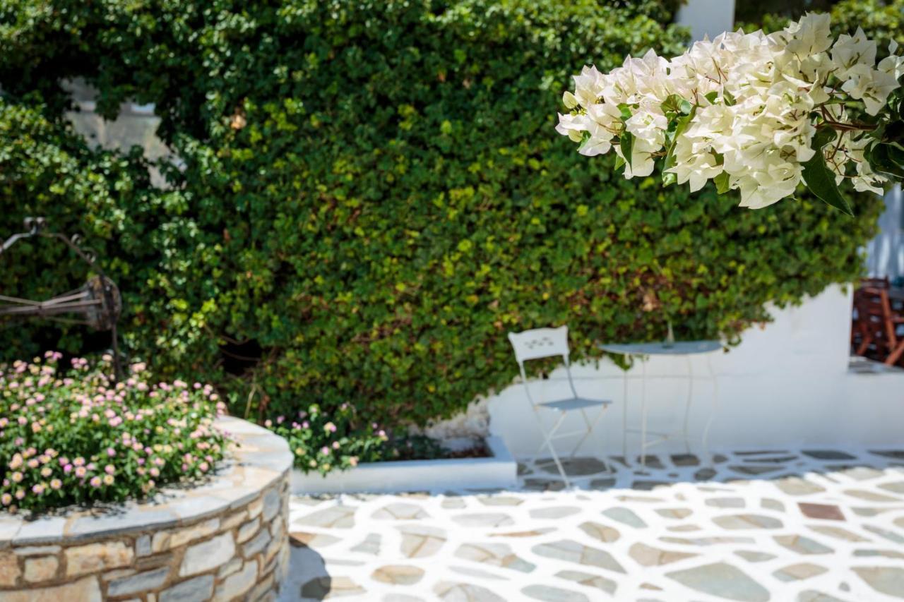 Tzane Studios & Apartments - Steps Away From Golden Beach Хриси-Акти Экстерьер фото