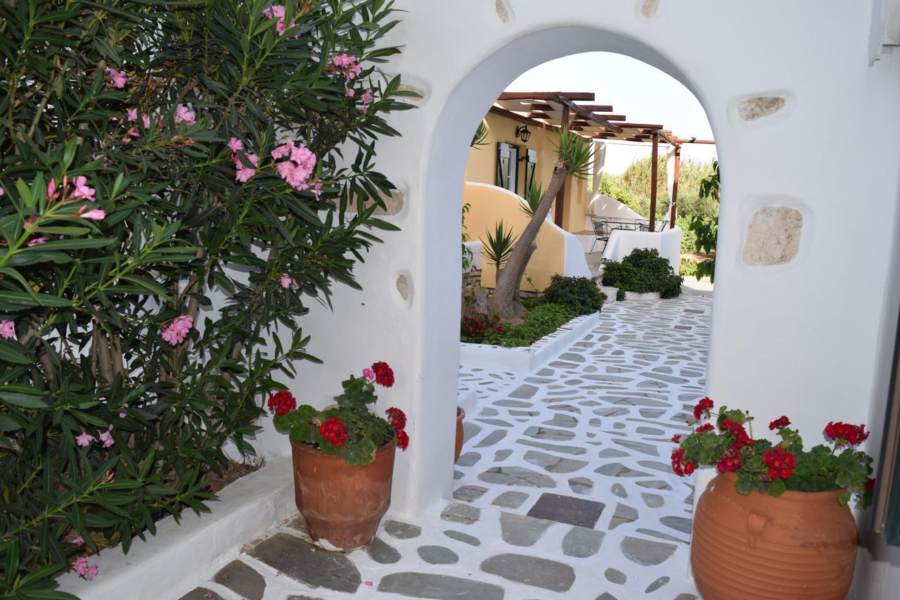 Tzane Studios & Apartments - Steps Away From Golden Beach Хриси-Акти Экстерьер фото